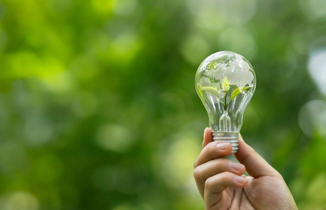 Mano che tiene una lampadina trasparente contenente una piccola pianta che germoglia. La lampadina ha un'incisione a mappamondo, a simboleggiare l'impronta di carbonio aziendale e l'innovazione sostenibile.